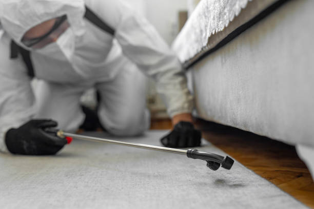Professional Mosquito Control technician working in Hillcrest, CA