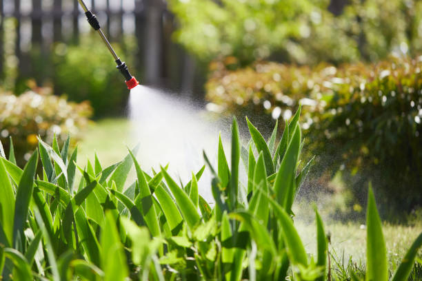 24/7 Emergency Mosquito Control experts in Hillcrest, CA