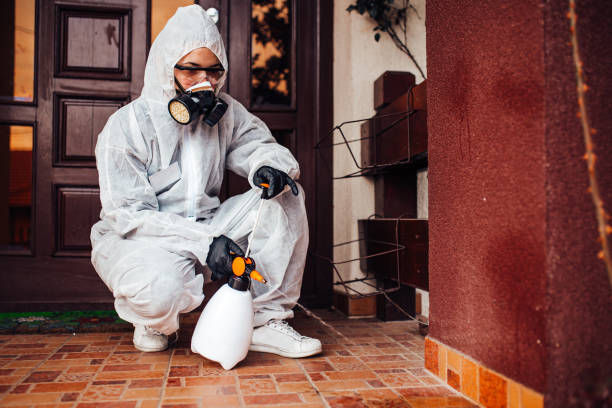 Reliable Mosquito Control contractor in Hillcrest, CA by Nex Pest Control